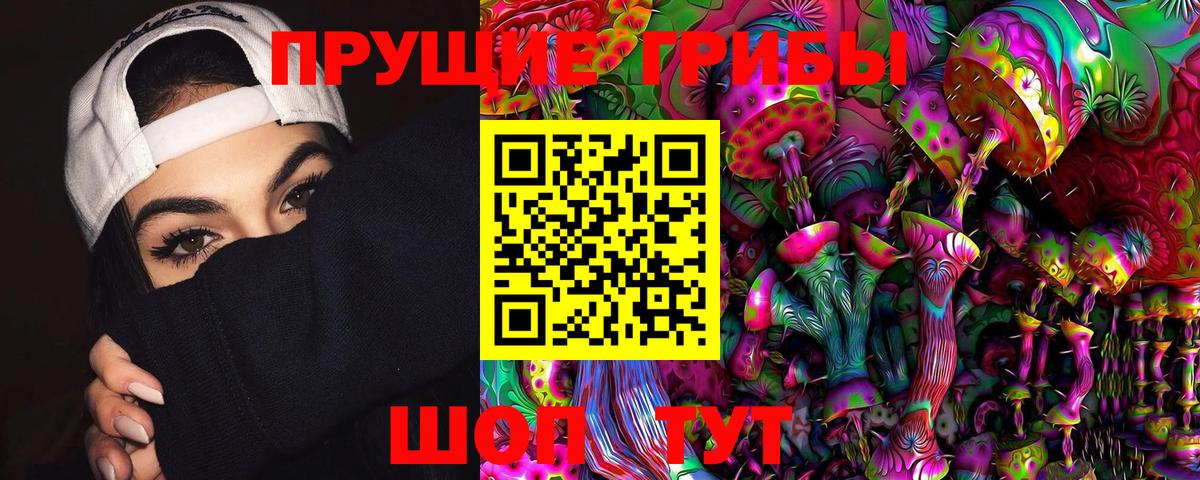 Гатчина  Псилоцибиновые грибы прущие грибы  Вход с VPN 
